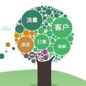网站推广排名实际效果停滞不前?网站内部S