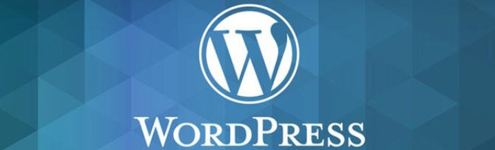 用WordPress建设网站需要多少钱？建站教程(图3)